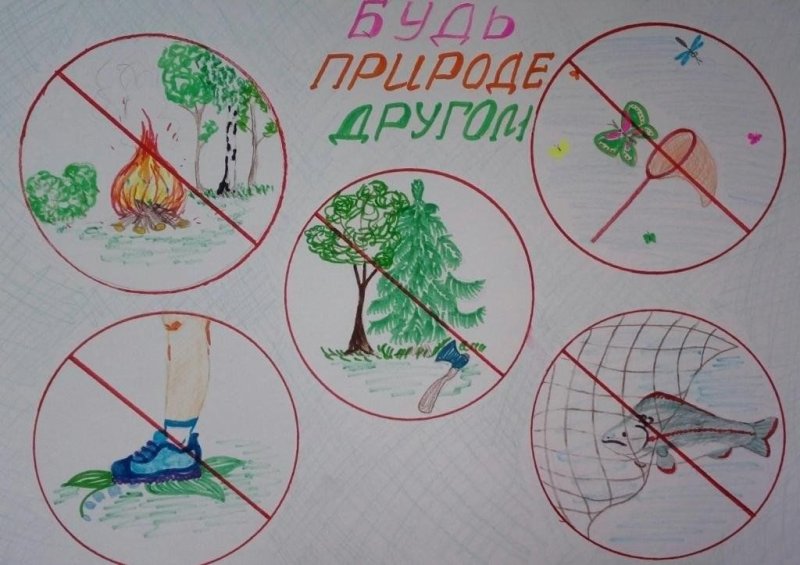 Плакат на тему защита природы