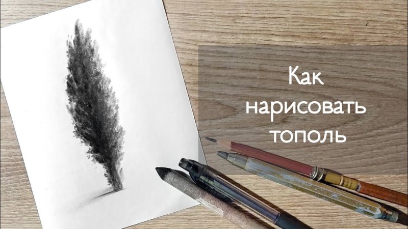 Как нарисовать тополиные порошицы