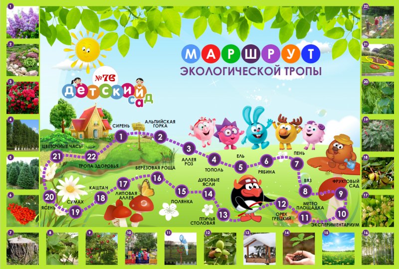 Маршрут экологической тропы
