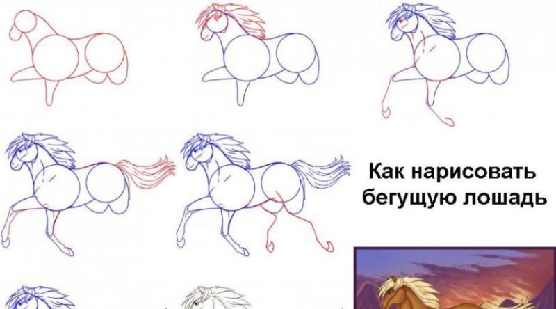 Лошадь рисунок поэтапно
