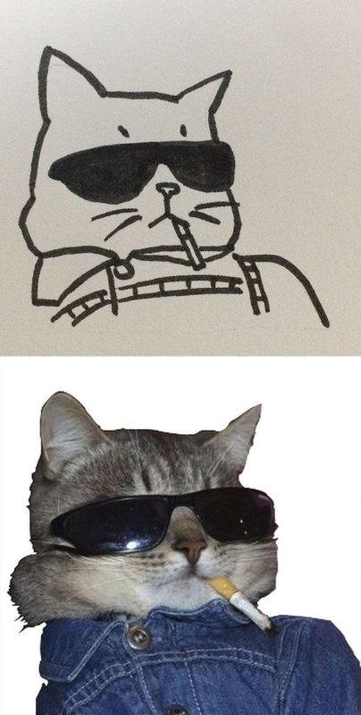Кот в очках