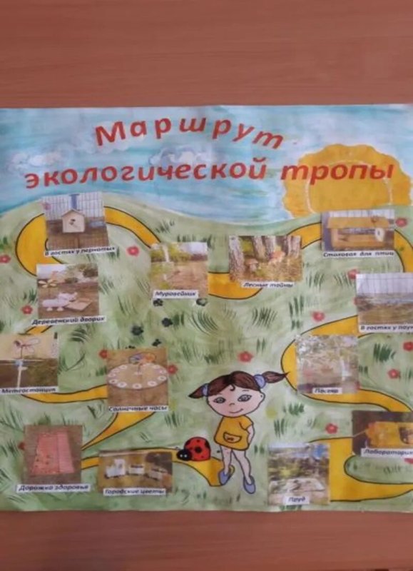 Экологическая тропа в детском