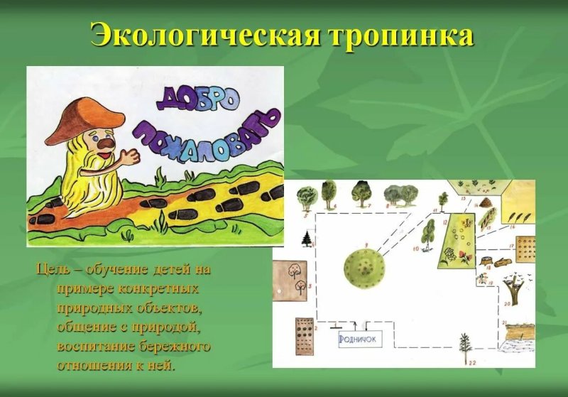 Схема экологической тропы