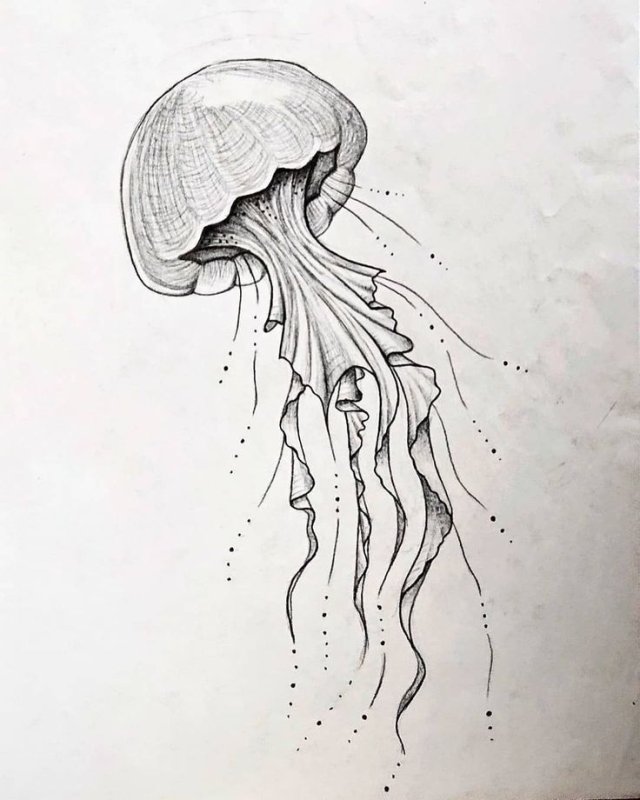 Медуза рисунок