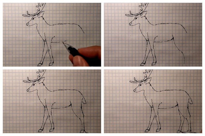Рисование оленя