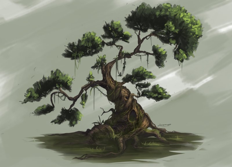 Дерево Утун