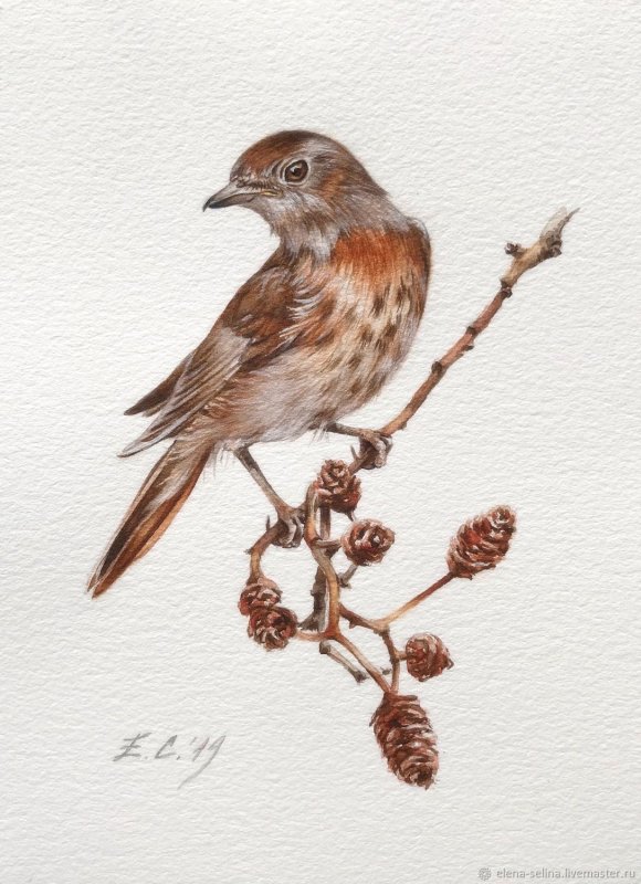 Соловей стилизованный