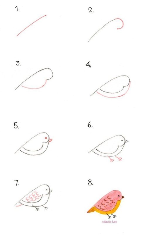 how to draw birds step by step