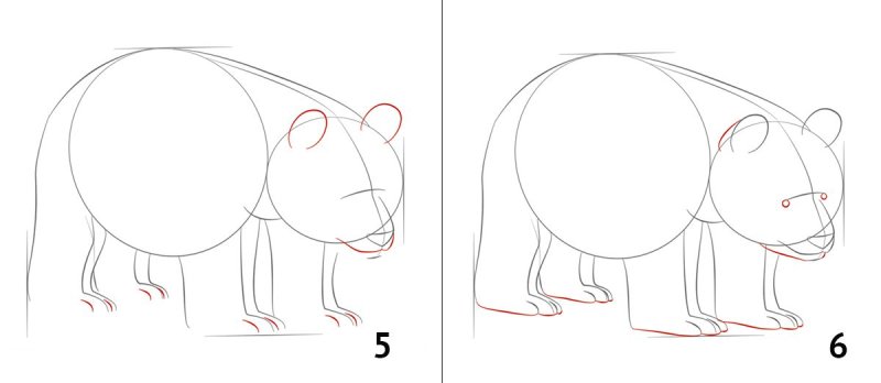 Медведь рисунок карандашом для детей