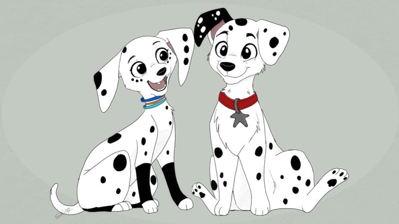 Улица далматинцев, 101 / 101 Dalmatian Street