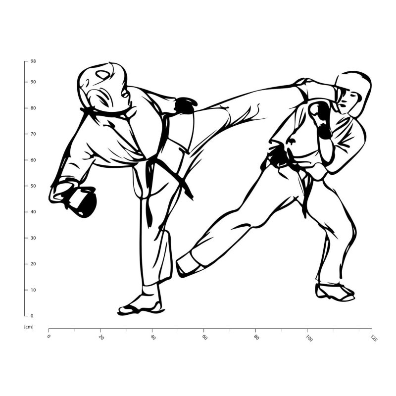 раскраска тхэквондо