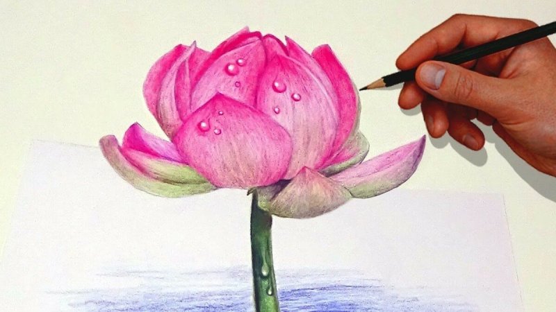 Цветы для рисования
