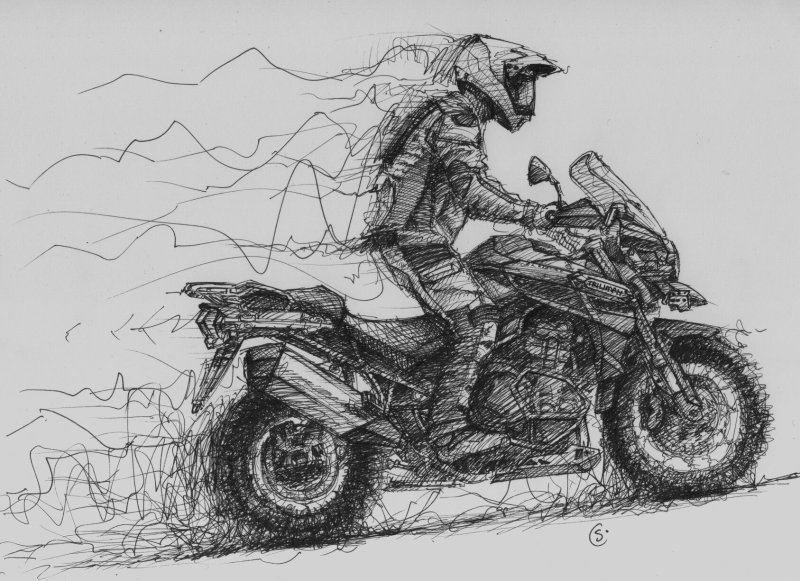 BMW r1200gs арт