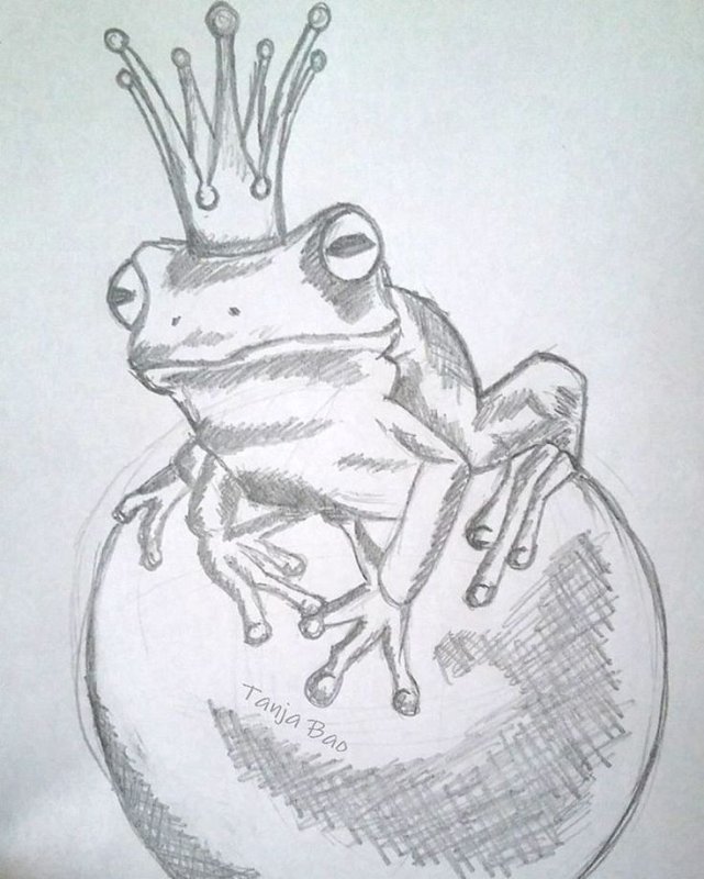 Рисунок лягушки карандашом для срисовки