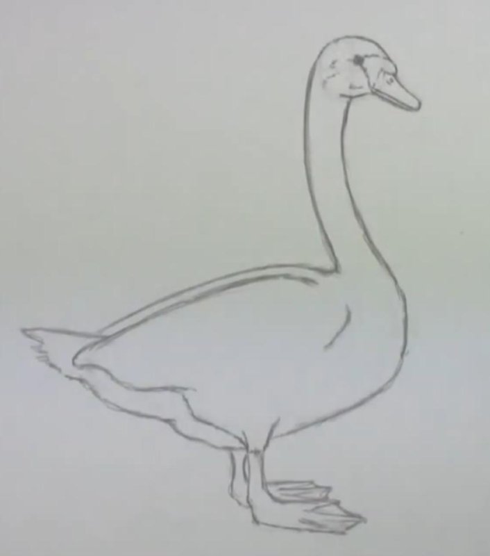 Рисование гуся