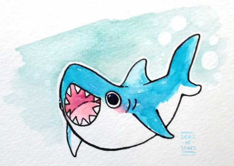 Акула рисунок легкий
