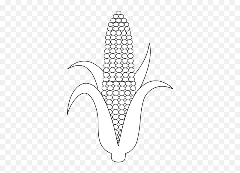 Кукуруза рисунок