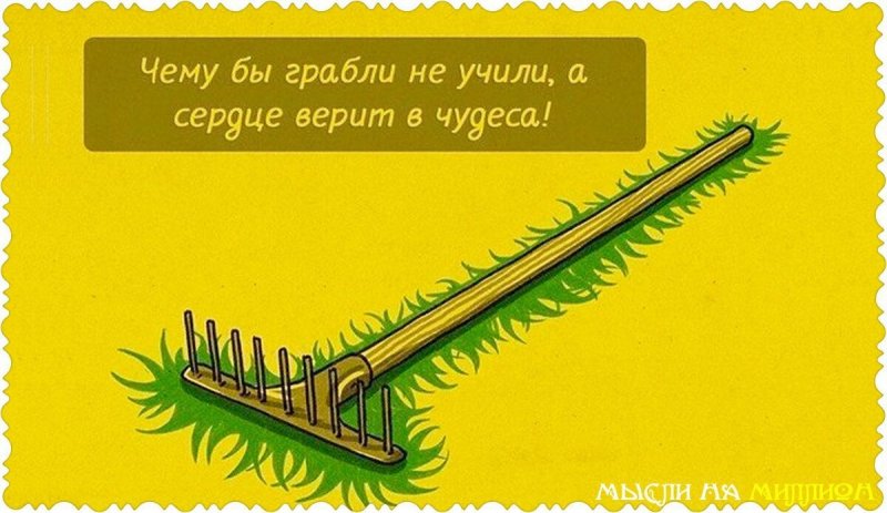Пословица про грабли