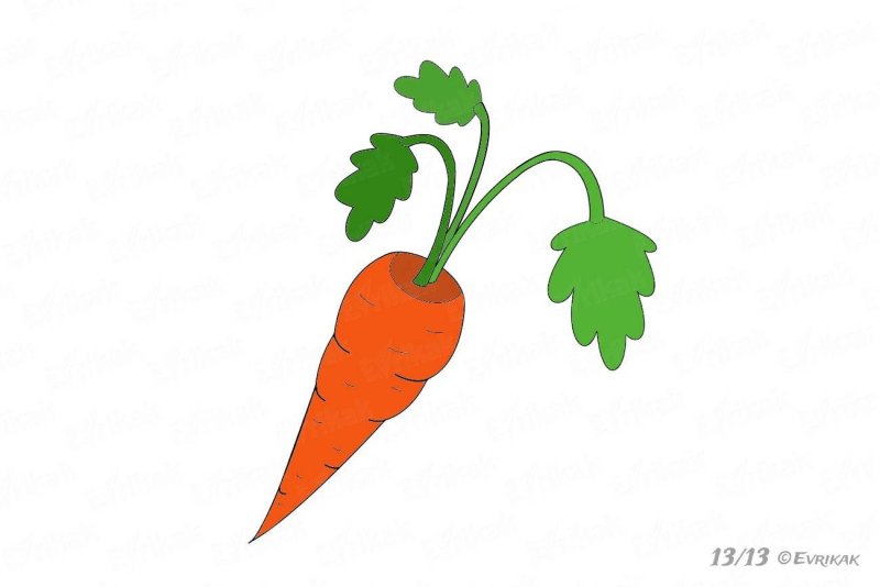 морковь рисунок для детей карандашом
