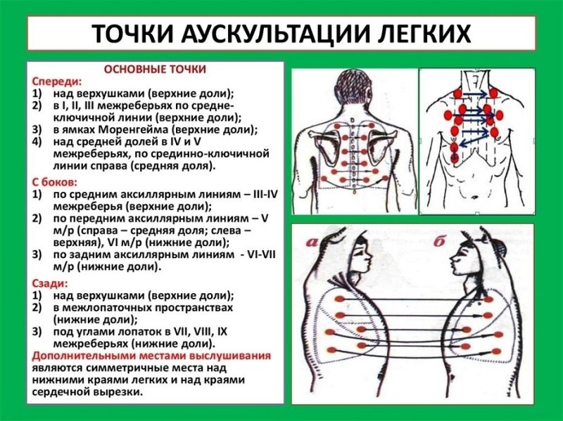Аускультация легких порядок проведения