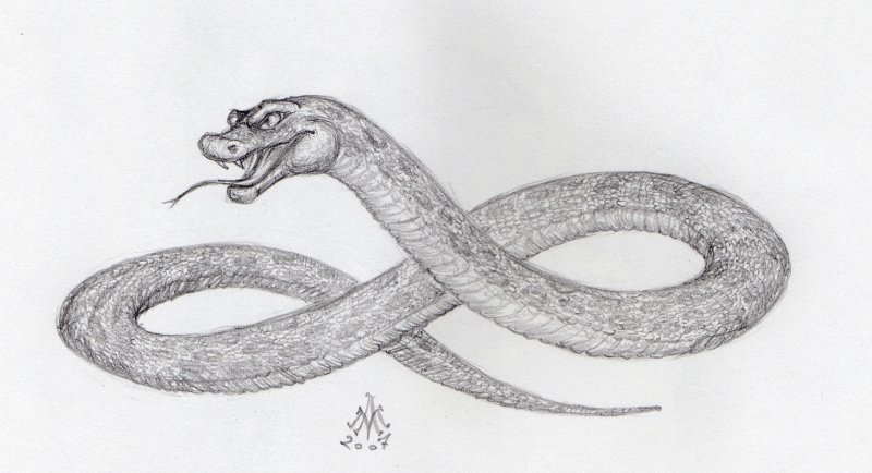 Рисунок змеи для срисовки
