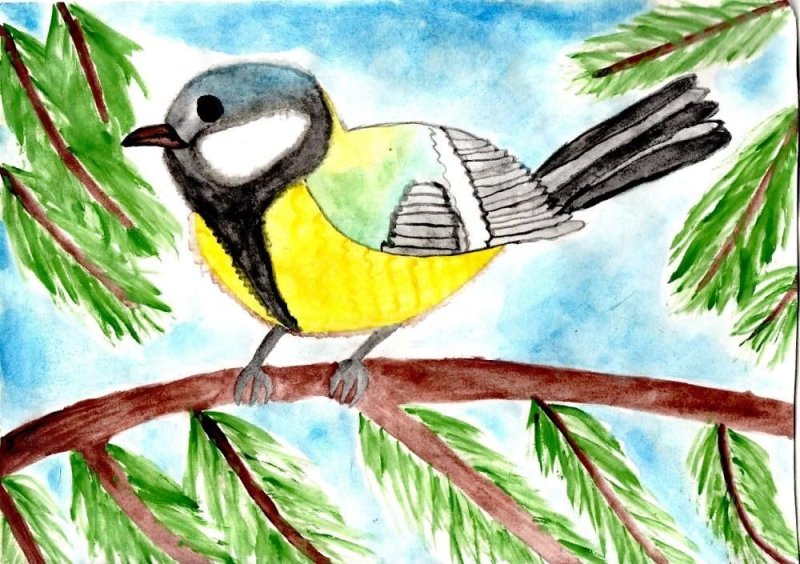 Рисование синички