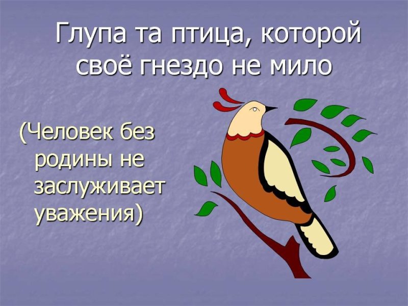Рисунок к пословице глупа та птица которой свое гнездо не мило