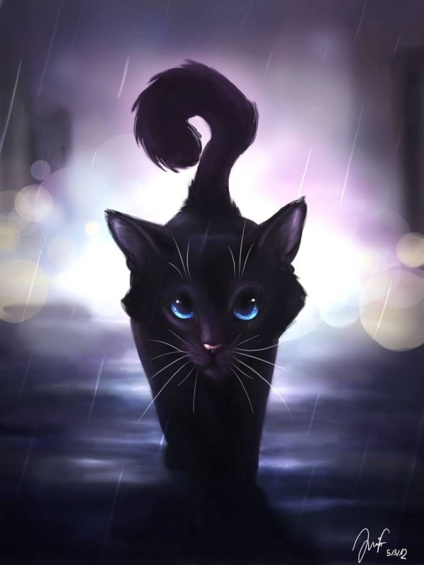 Чёрная кошка арт коты Воители
