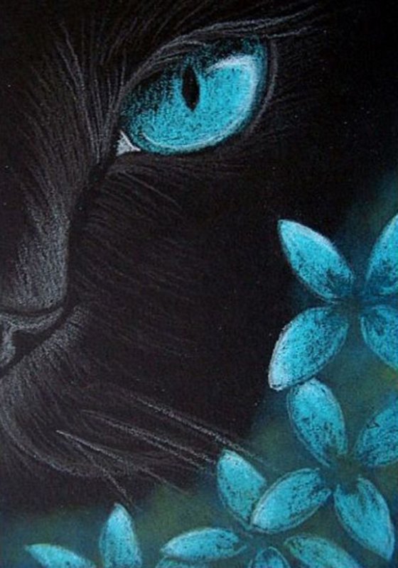 Картины пастелью на черном фоне