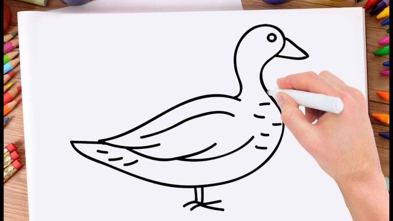 Рисунки для срисовки лёгкие утка
