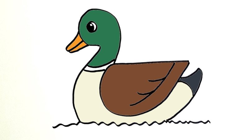Утка рисунок для детей