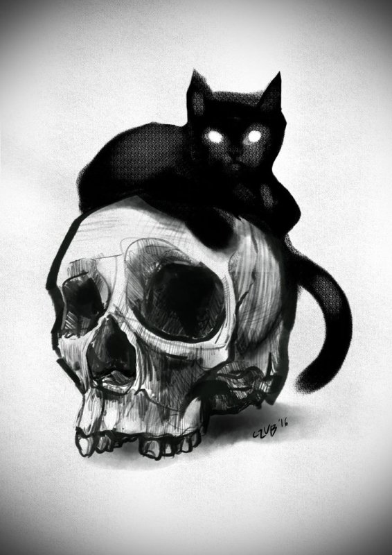 Череп кота эскиз