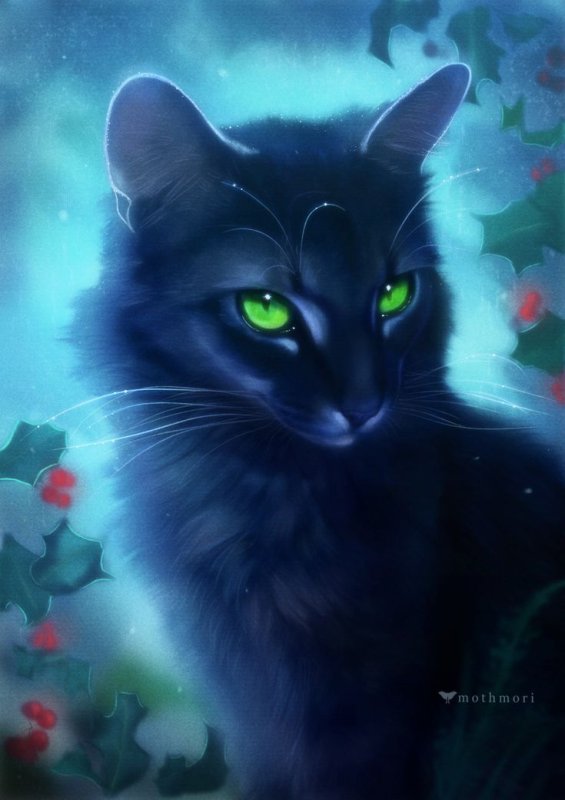 Коты Воители Остролистая