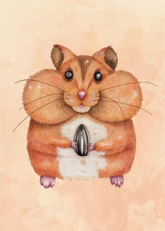 рисунки хомяк