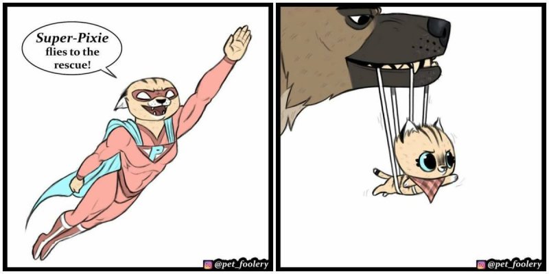 Пикси и брут