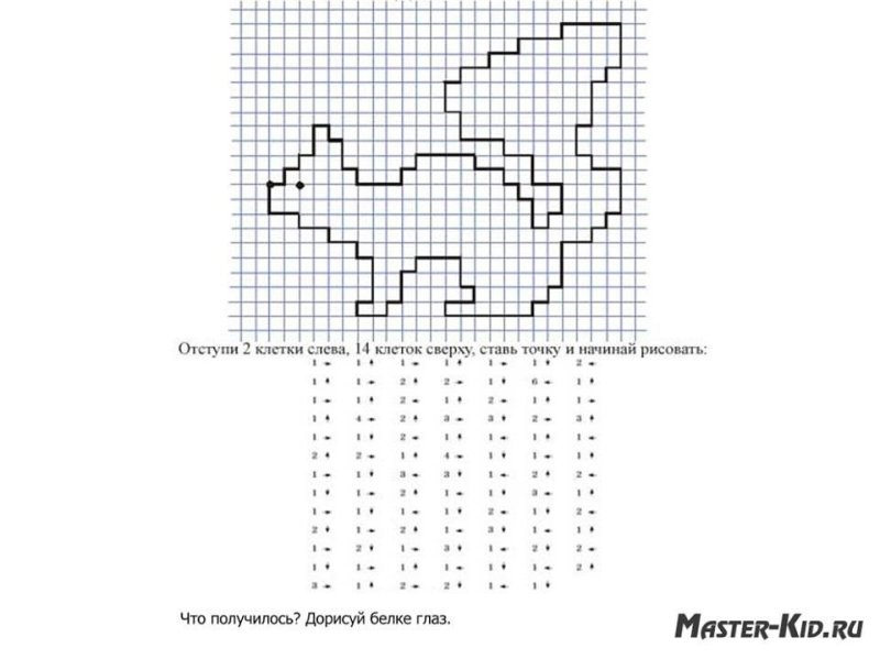 Графический диктант белка для дошкольников