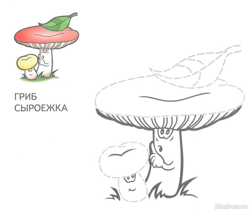 Рисунок гриба для детей раскраска