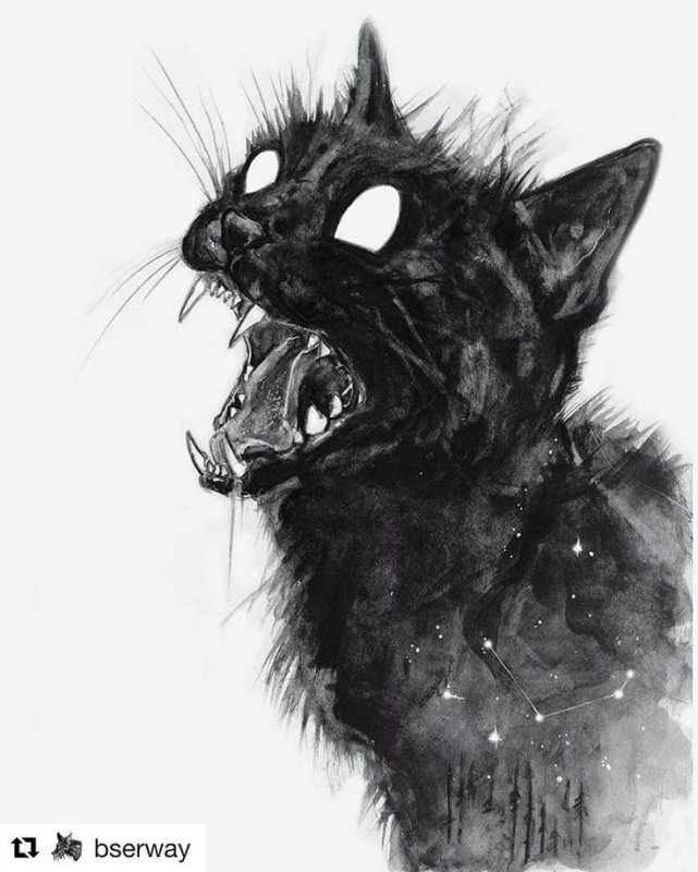 Кот арт