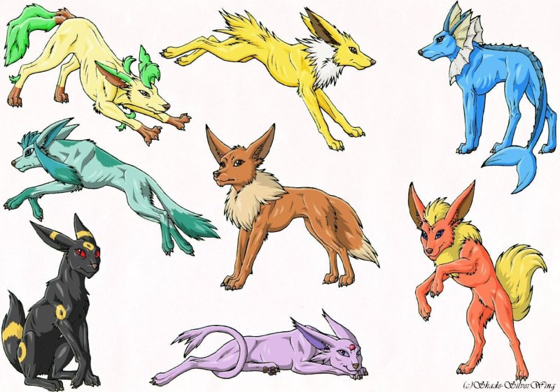Eevee Эволюция