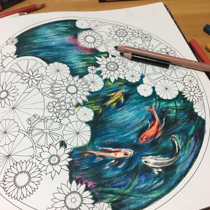 Рисунки карандашом лёгкие