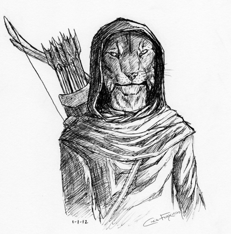 ридарджо каджит