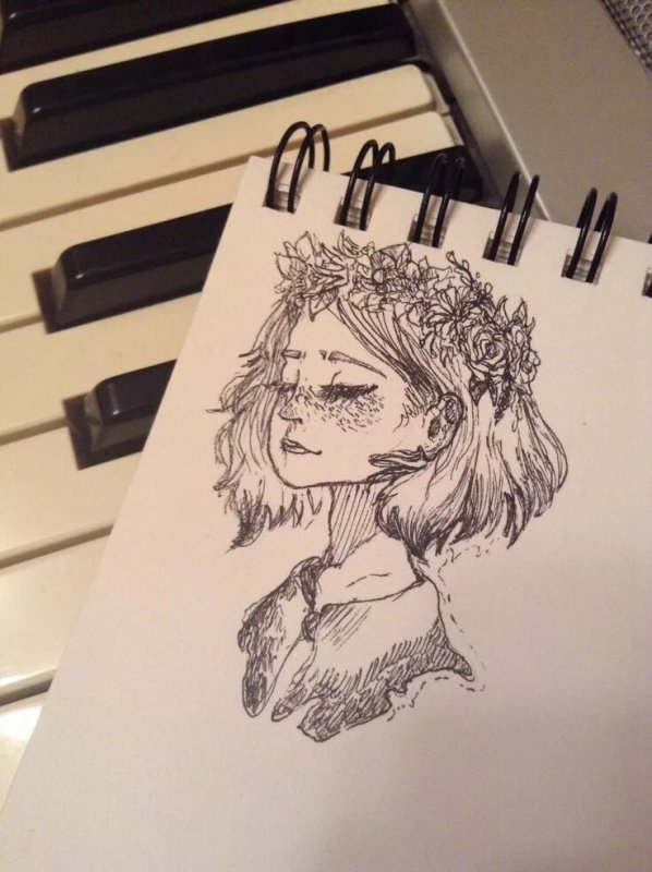 Рисунки для Стетч бука
