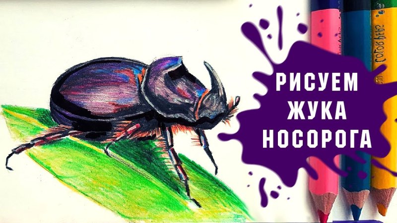 Жук носорог рисунок для детей