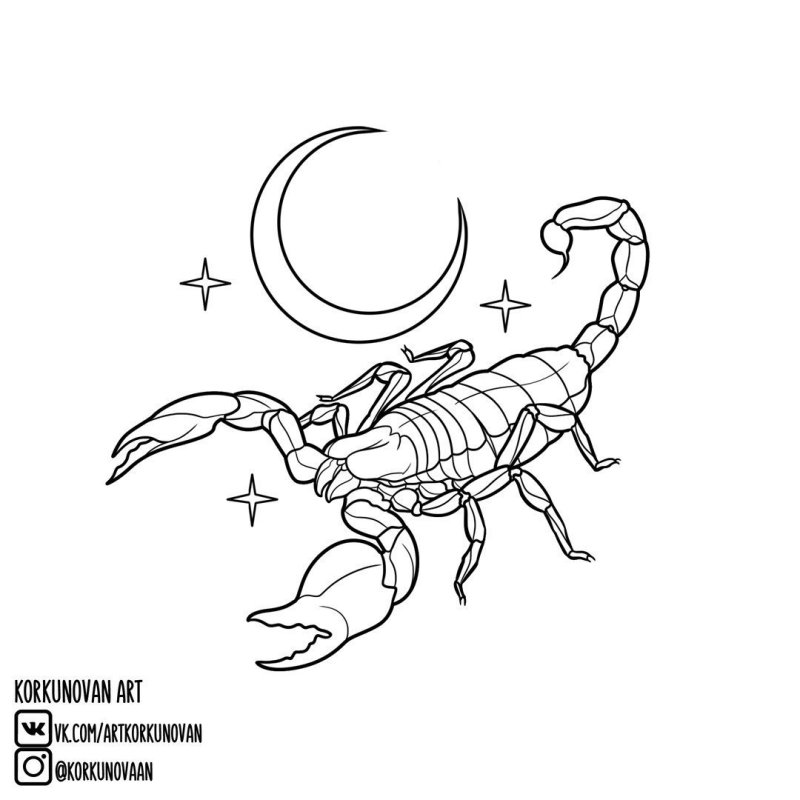 Скорпион эскиз