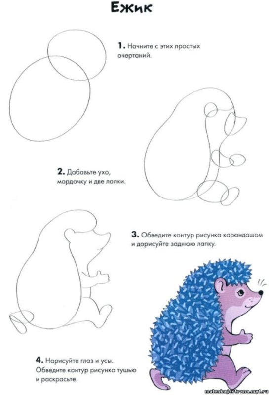 Схема рисования ежика