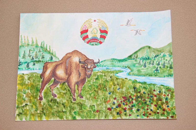 Рисунок моя Беларусь