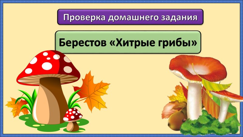 Хитрые грибы какой класс