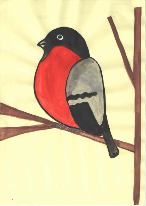 Птица рисунок