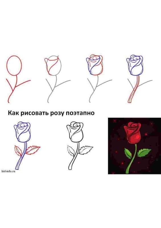 Схема рисования розы