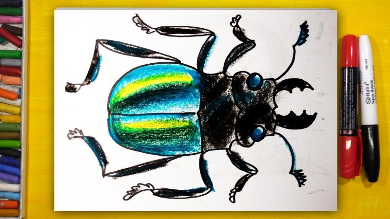 Жук рисунок
